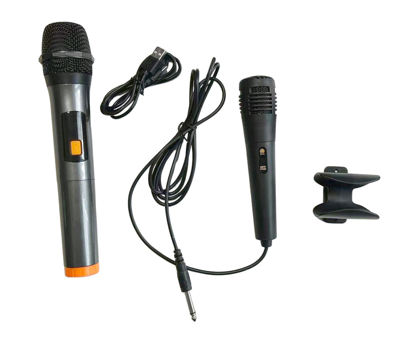 mic