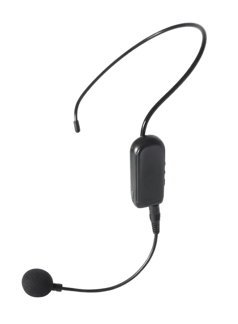 mic